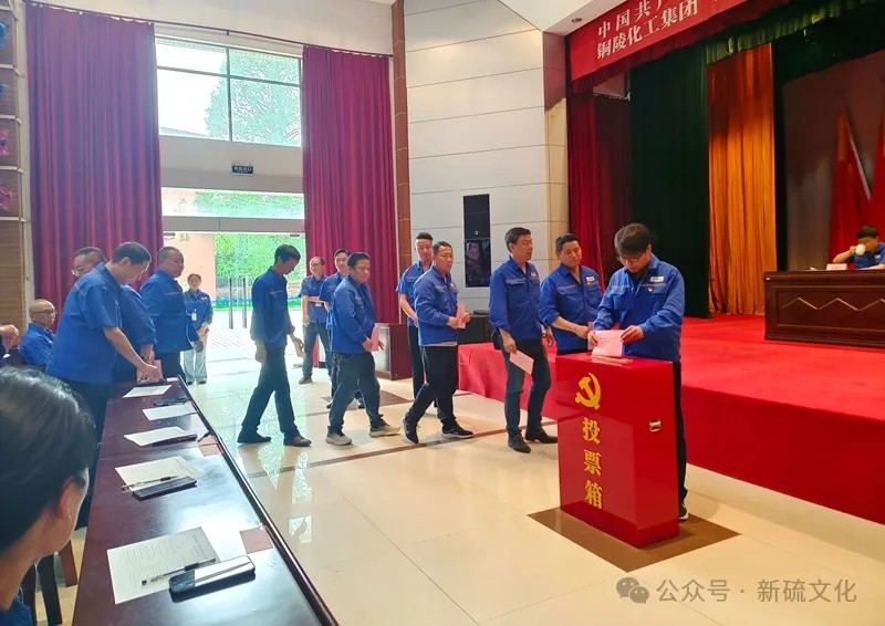 香港马开奖2023年记录