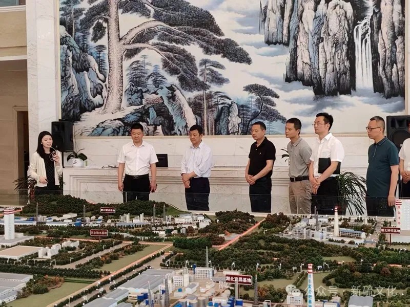 香港马开奖2023年记录