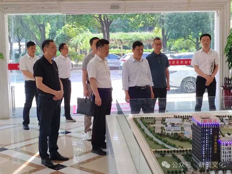 香港马开奖2023年记录